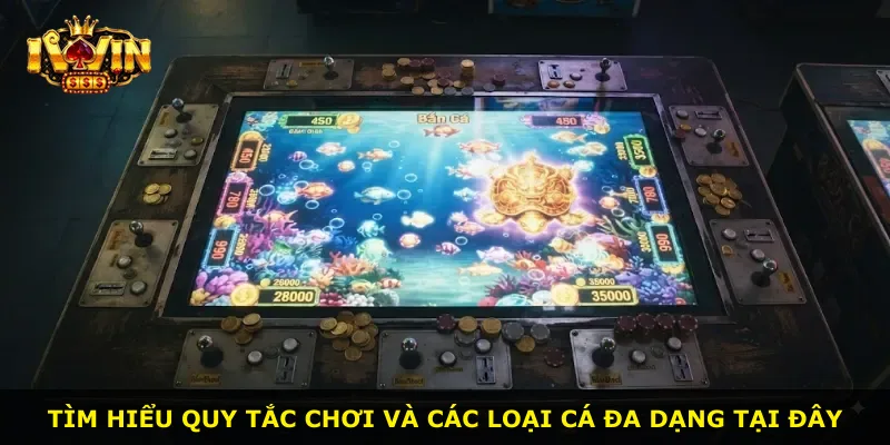 Tìm hiểu quy tắc chơi và các loại cá đa dạng tại đây